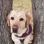 Ersteller:in Sabine Profilbild