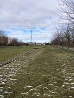 Hundeauslaufgebiet-Thüringer Bahnhof-Bild