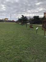 Hundeauslaufgebiet-Thüringer Bahnhof-Bild