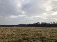 Hundeauslaufgebiet-Nüssenberger Busch-Bild