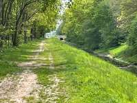 Hundeauslaufgebiet-Landschaftsschutzgebiet Hochmoor Wymeer-Bild