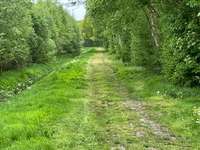 Hundeauslaufgebiet-Landschaftsschutzgebiet Hochmoor Wymeer-Bild