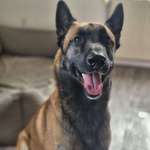 Ersteller:in Claudia Profilbild