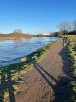 Hundeauslaufgebiet-Hattingen-Bild