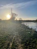 Hundeauslaufgebiet-Hattingen-Bild