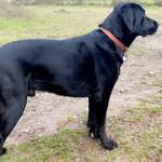 Ersteller:in Jasmin Profilbild