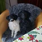 Ersteller:in Isabella Profilbild