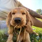 Ersteller:in Agata Profilbild