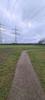 Hundeauslaufgebiet-Feld an der Emscher (Bernhard-Eichholz-Straße)-Bild