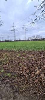 Hundeauslaufgebiet-Feld an der Emscher (Bernhard-Eichholz-Straße)-Bild