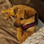 Ersteller:in Corri Profilbild