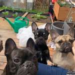 Ersteller:in Melanie Profilbild