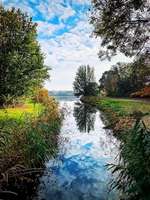 Hundeauslaufgebiet-Krimpelsee-Bild