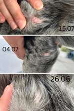 Hautausschlag-Beitrag-Bild