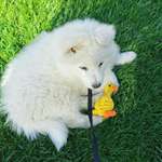 Ersteller:in Regina Profilbild