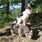 Ersteller:in Stefanie Profilbild