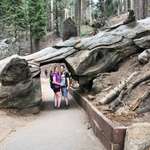 Ersteller:in Antonia Profilbild