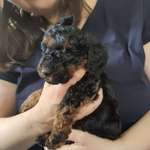 Ersteller:in Barbara Profilbild