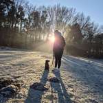 Ersteller:in Ronja Profilbild