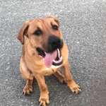 Ersteller:in Mona Profilbild