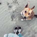 Ersteller:in Jessica Profilbild