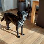 Ersteller:in Steffi Profilbild