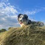 Ersteller:in Stefanie Profilbild