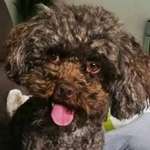 Ersteller:in Petra Profilbild