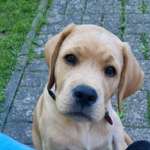 Ersteller:in Michaela Profilbild