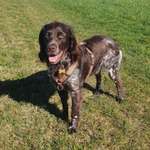 Ersteller:in Renate Profilbild