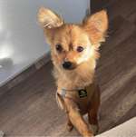 Ersteller:in Elli Profilbild