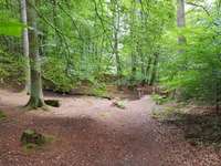 Hundeauslaufgebiet-Billesweiher-Bild