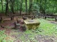 Hundeauslaufgebiet-Billesweiher-Bild