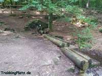 Hundeauslaufgebiet-Billesweiher-Bild