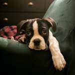 Ersteller:in Juliet Profilbild