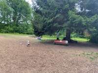 Hundeauslaufgebiet-Unser Hundegarten-Bild