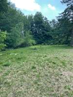 Hundeauslaufgebiet-Unser Hundegarten-Bild