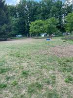 Hundeauslaufgebiet-Unser Hundegarten-Bild