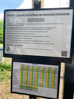 Hundeauslaufgebiet-Unser Hundegarten-Bild