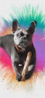 Eure schönsen-Beitrag-Bild