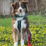 Ersteller:in Evelyn und Hans Profilbild