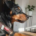 Ersteller:in Nadine Profilbild