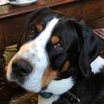 Ersteller:in Martina Profilbild