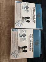 Schutzhöschen für Hündinnen & Halti-Beitrag-Bild