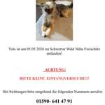 Suchmeldung-Yola-Bild