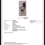 Suchmeldung-Yola-Bild