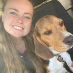 Ersteller:in Anika Profilbild