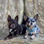 Ersteller:in Sandra Profilbild