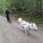 Ersteller:in Nadine Profilbild