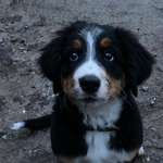 Ersteller:in Jenny Profilbild